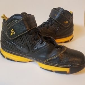 Rare Vintage Kobe Bryant Nike Zoom Carpe Diem 2